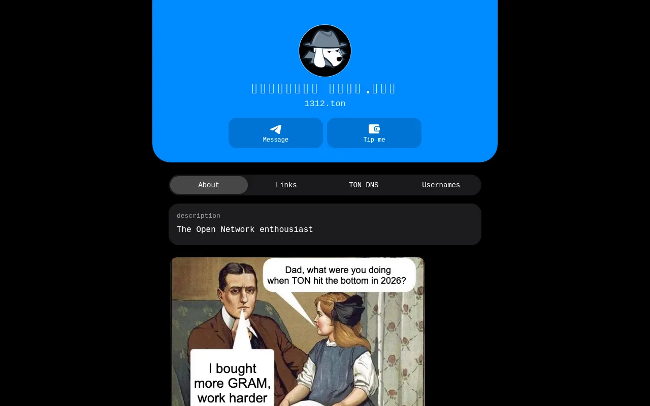 Screenshot of 1312.ton
