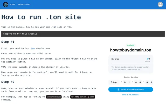 Screenshot of How to run *.ton site