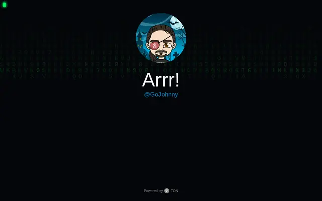 Screenshot of Pirate Site