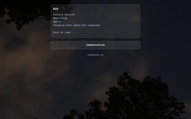 Screenshot of Визитка